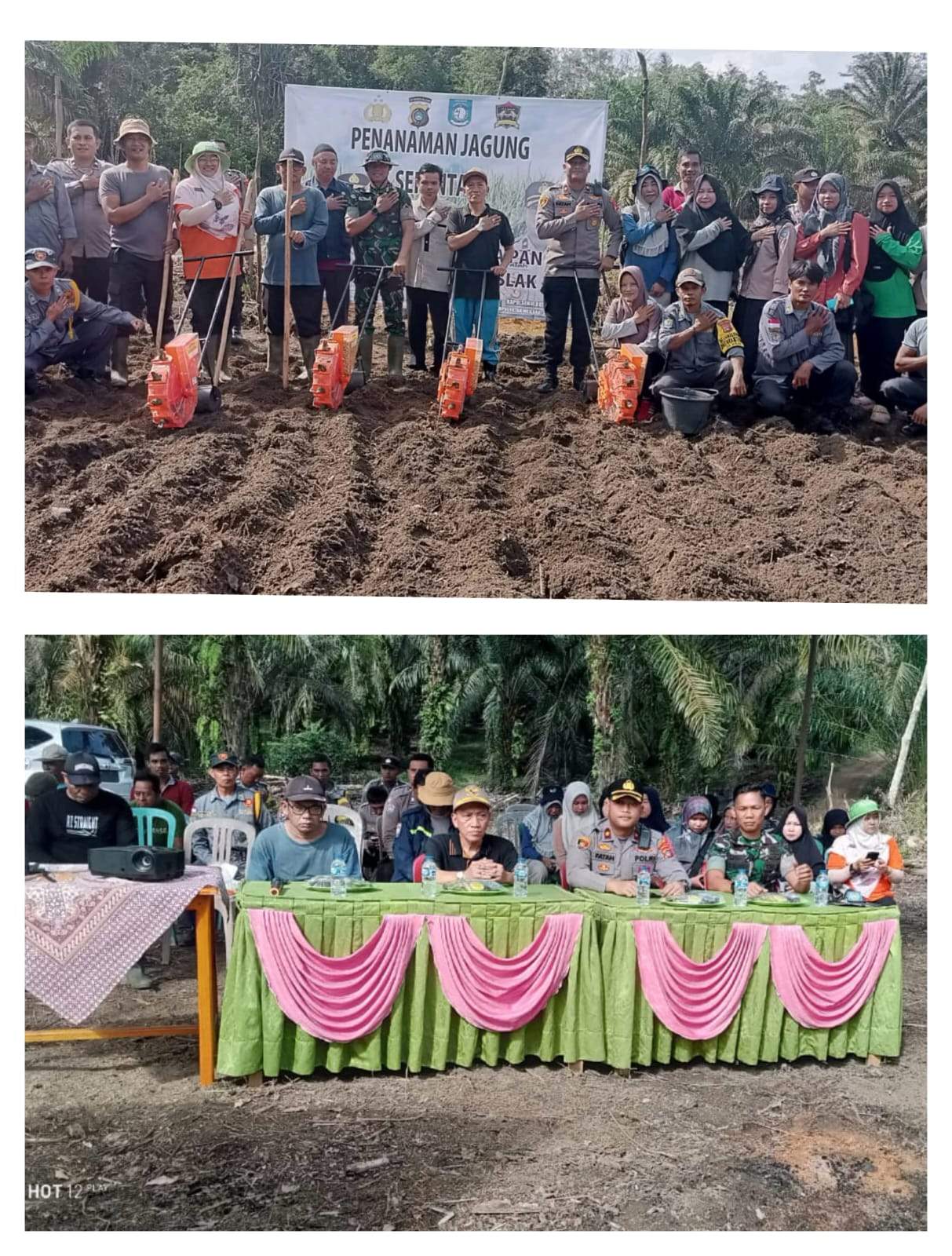 Forkopimcam Kecamatan Jebus Laksanakan Penanaman Jagung Serentak di Desa Mislak Kecamatan Jebus